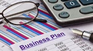 Professional Business Plan Consultant