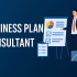 Business Plan Consultant