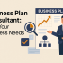 Business Plan Consultant